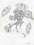 ginainarmor.jpg (163241 bytes)